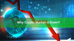 Why Crypto Market Is Down