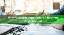 Why Finance Is Important In A Business Organization?