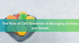The Role of CBD Gummies in Managing Anxiety and Stress