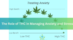 The Role of THC in Managing Anxiety and Stress