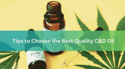 Tips to Choose the Best Quality CBD Oil