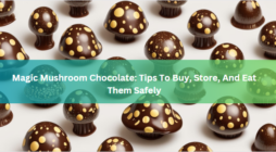 Magic Mushroom Chocolate: Tips To Buy, Store, And Eat Them Safely